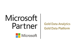 Microsoft Partner